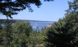 Randall-Views-2